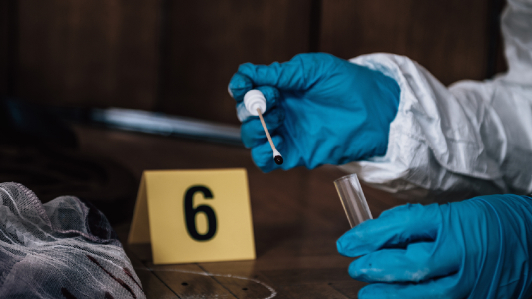 Análises forenses de autenticidade e avaliação em distintivos de guerra nazistas apreendidos pela Polícia Civil/RJ